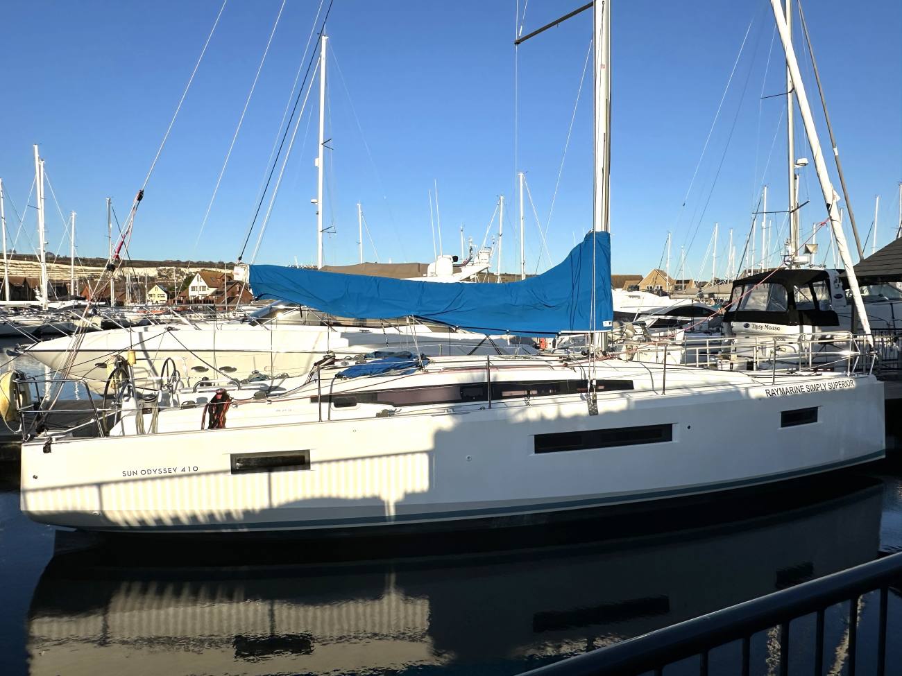 2020 Jeanneau Sun Odyssey 410 image 11