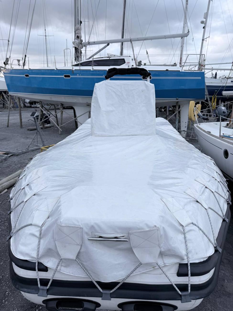 2024 Tiger Marine Open 600 image 8