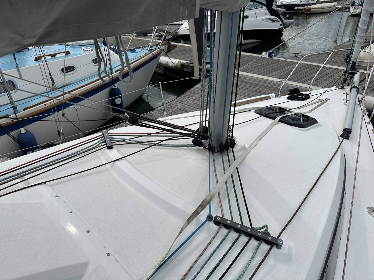 2018 Django 770 image 29