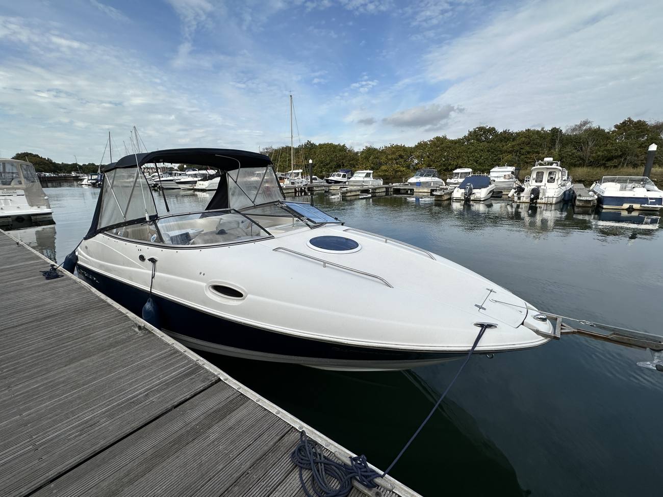 2005 Regal 2450 Cuddy image 12