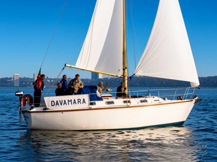 1981 Colvic Sailor 296