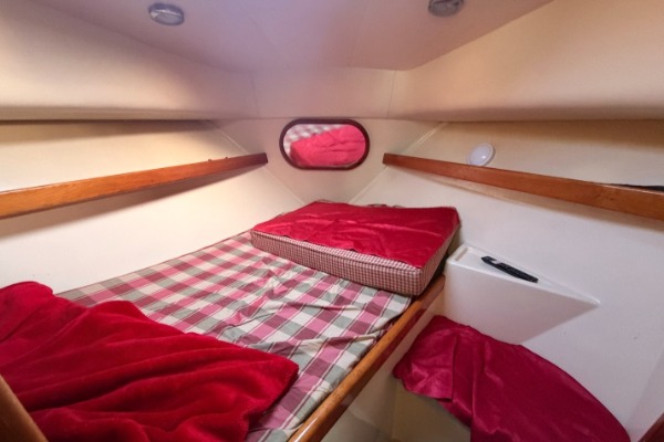 Rodman 800 Flybridge additional image 8